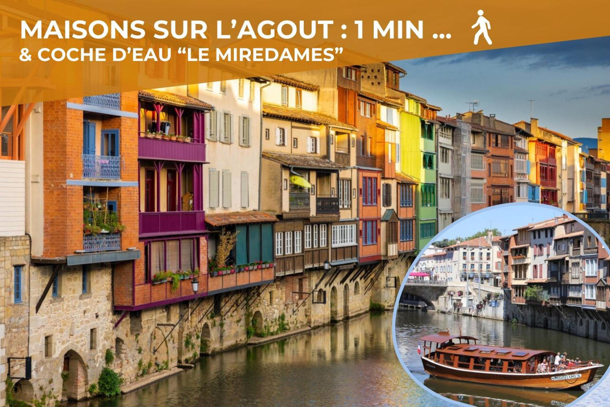Le Canope - T3 Duplex, 2 Salles D'Eau, Hypercentre Castres  Luaran gambar