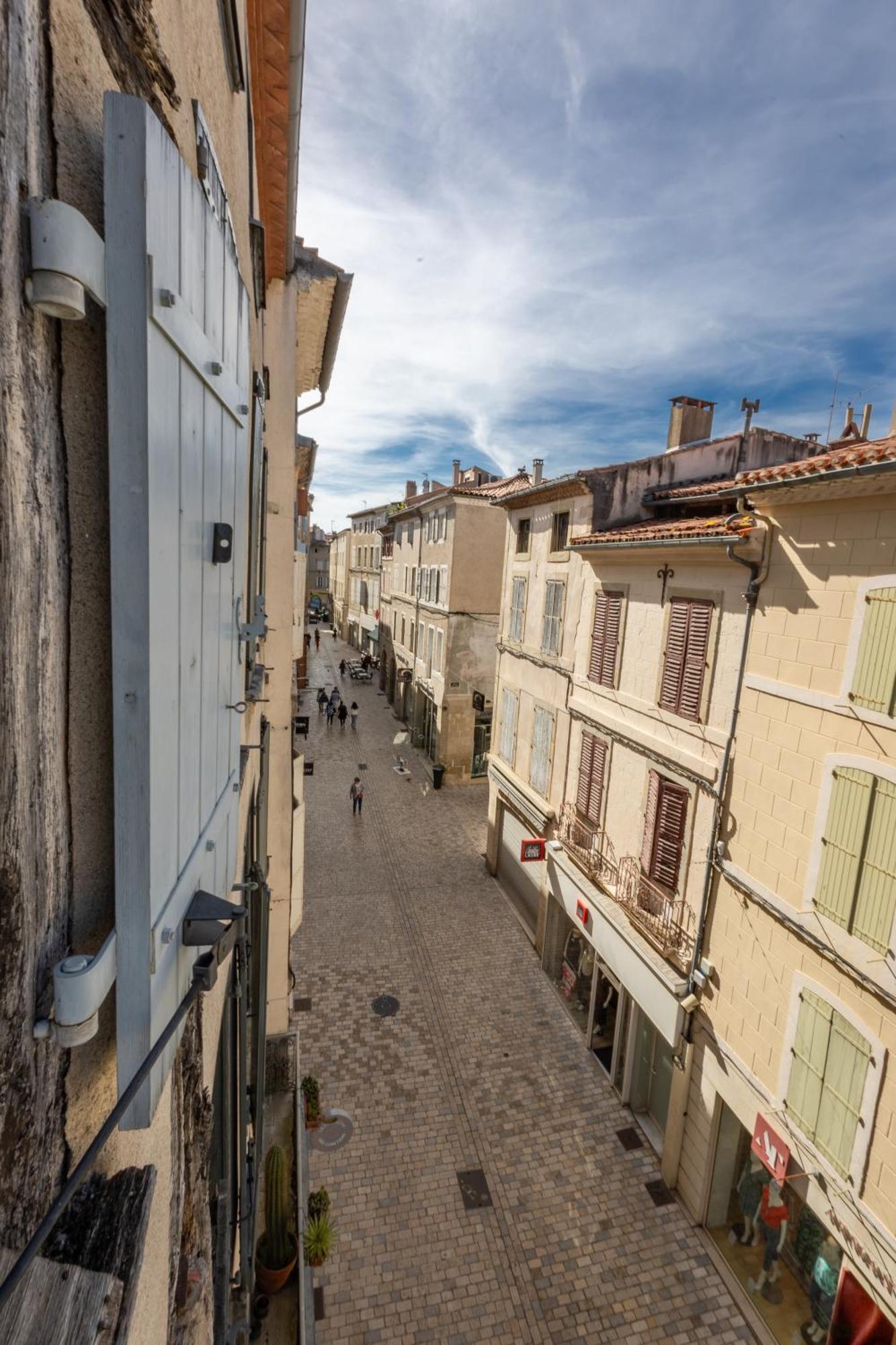 Le Canope - T3 Duplex, 2 Salles D'Eau, Hypercentre Castres  Luaran gambar
