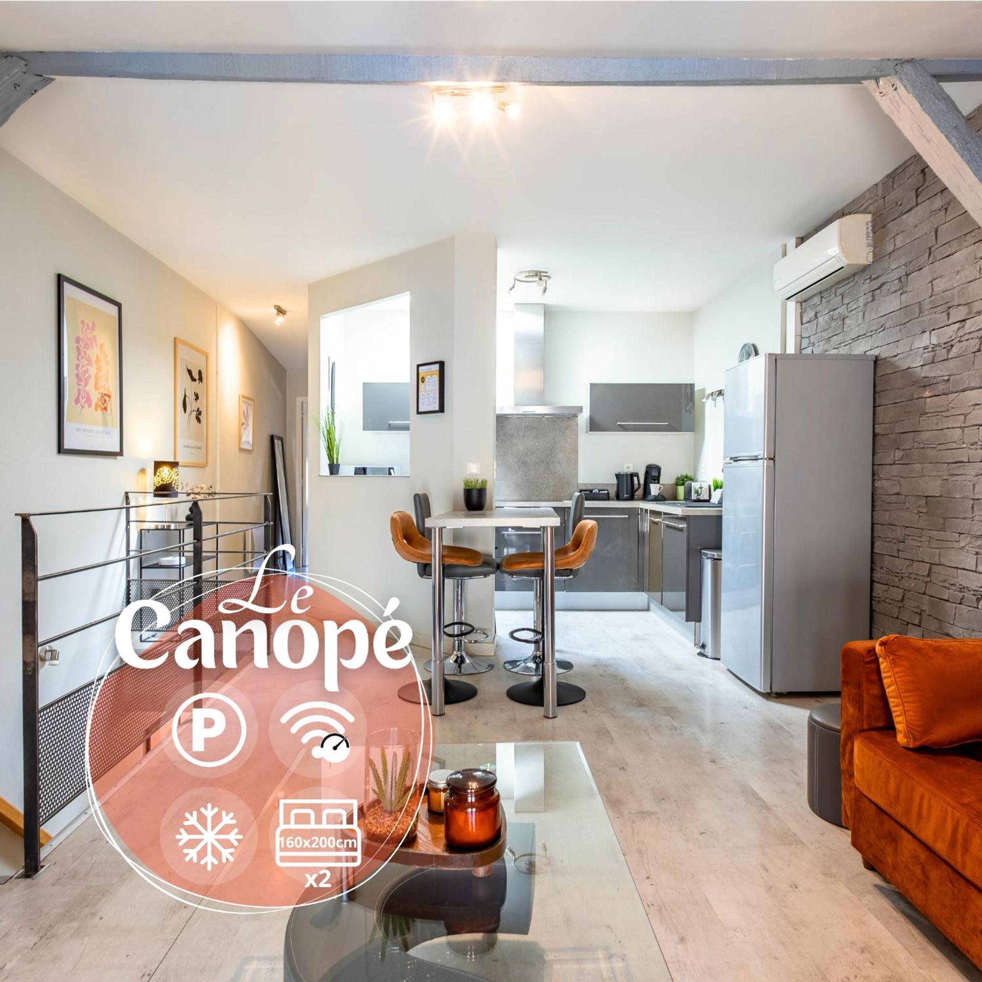 Le Canope - T3 Duplex, 2 Salles D'Eau, Hypercentre Castres  Luaran gambar